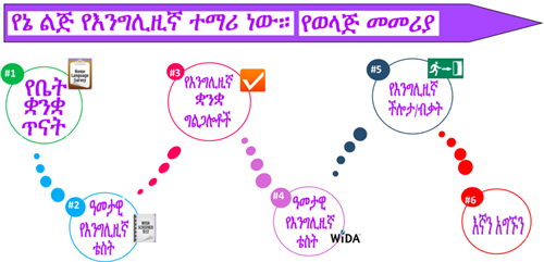 EL identification process in Amharic